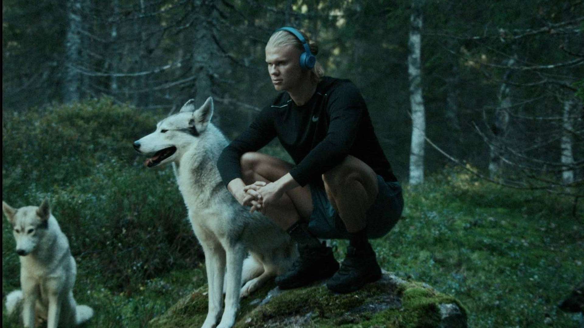 通过高压逼 通过高压逼